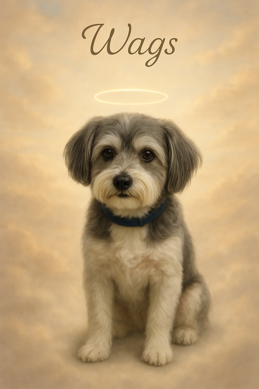 The Heavenly Dog Memorial Poster